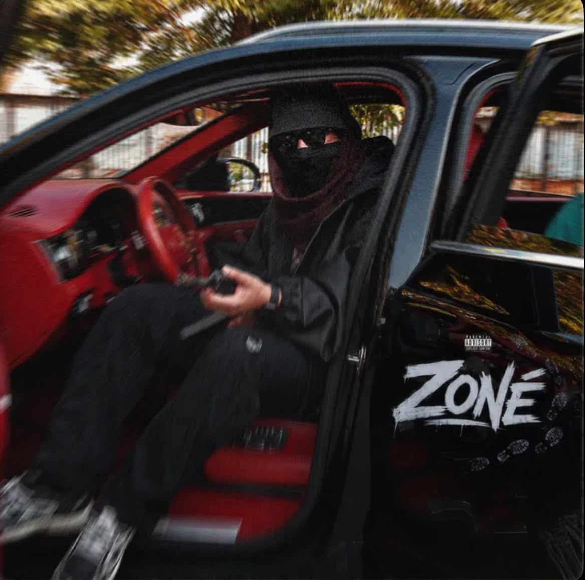 Zoné — Projet artiste